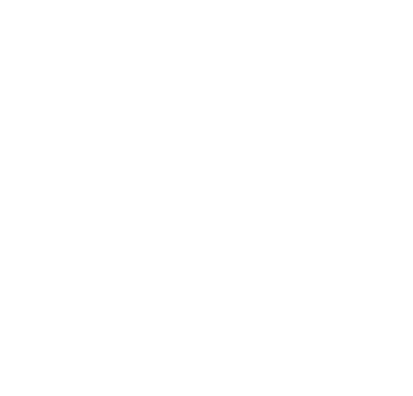 FreeMind Logo White