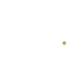 Mint Logo White