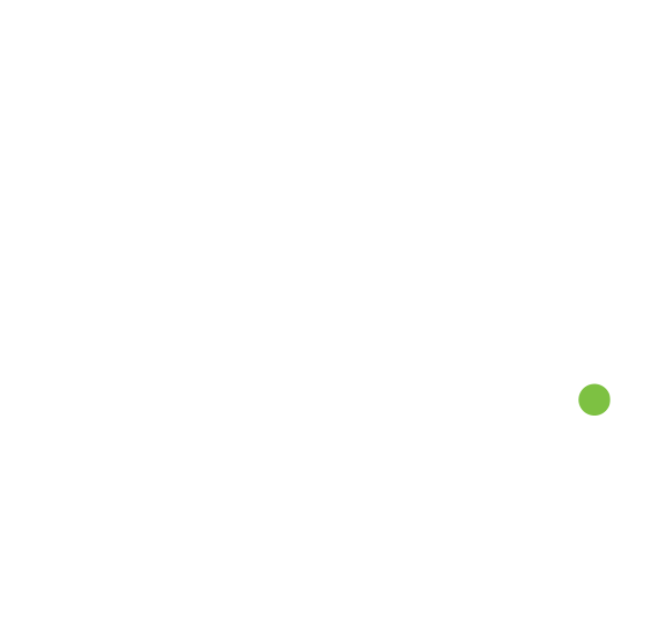 Mint Logo White